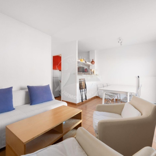  API AGENCE : Appartement | LE GRAU-DU-ROI (30240) | 45 m2 | 374 € 