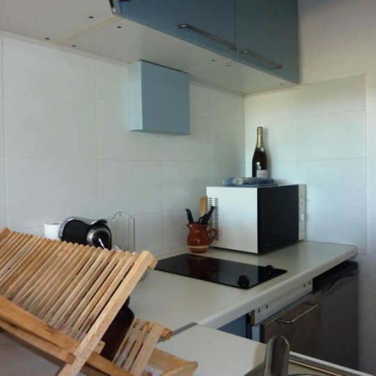  API AGENCE : Appartement | LE GRAU-DU-ROI (30240) | 31 m2 | 334 € 