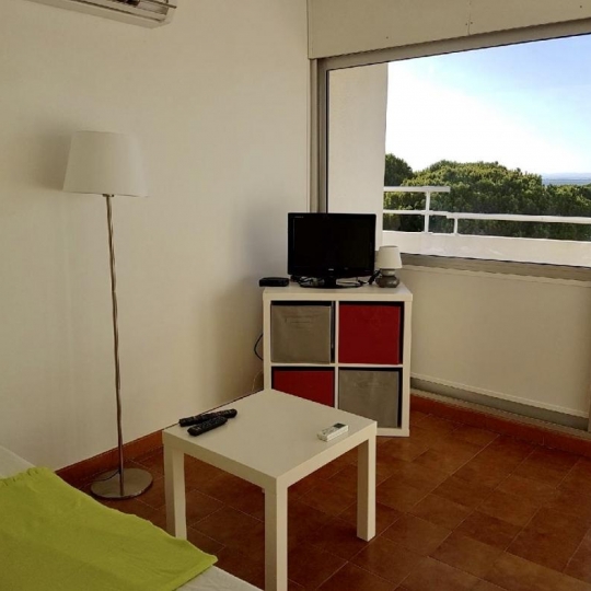  API AGENCE : Appartement | LE GRAU-DU-ROI (30240) | 27 m2 | 480 € 