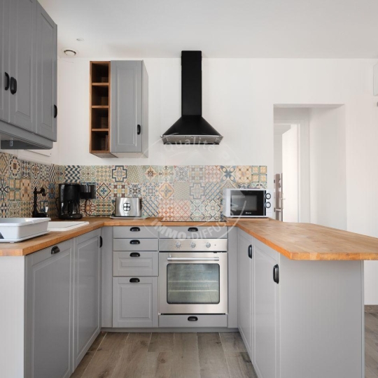  API AGENCE : Appartement | LE GRAU-DU-ROI (30240) | 65 m2 | 450 € 