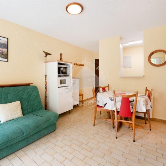  API AGENCE : Appartement | LE GRAU-DU-ROI (30240) | 31 m2 | 360 € 