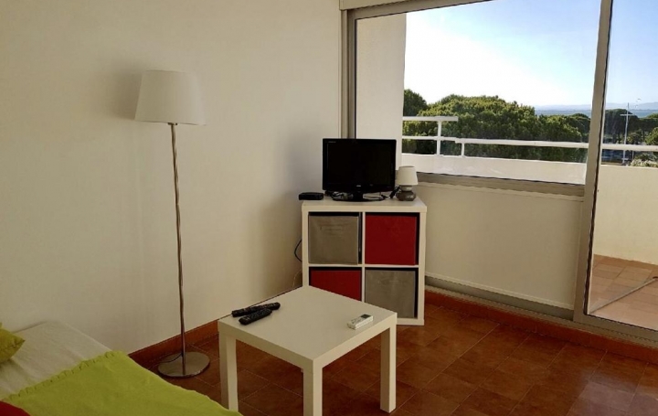 API AGENCE : Appartement | LE GRAU-DU-ROI (30240) | 27 m2 | 480 € 