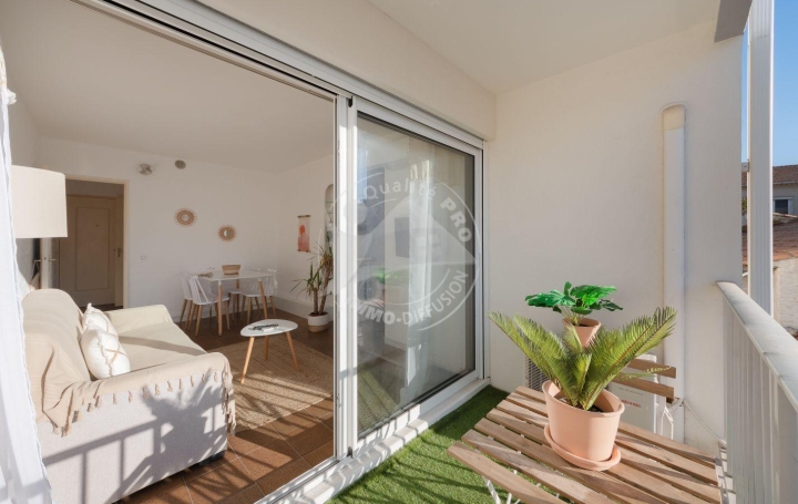  API AGENCE Appartement | LE GRAU-DU-ROI (30240) | 26 m2 | 280 € 