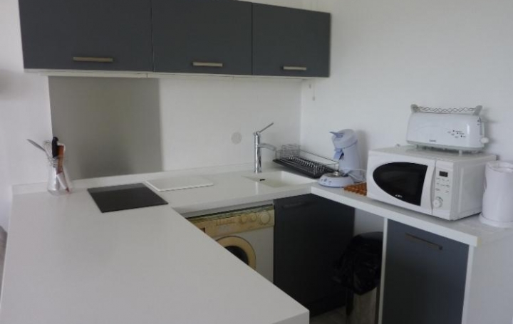 API AGENCE : Appartement | LE GRAU-DU-ROI (30240) | 24 m2 | 96 000 € 