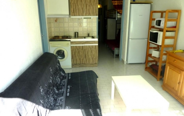 API AGENCE : Appartement | LE GRAU-DU-ROI (30240) | 30 m2 | 169 000 € 
