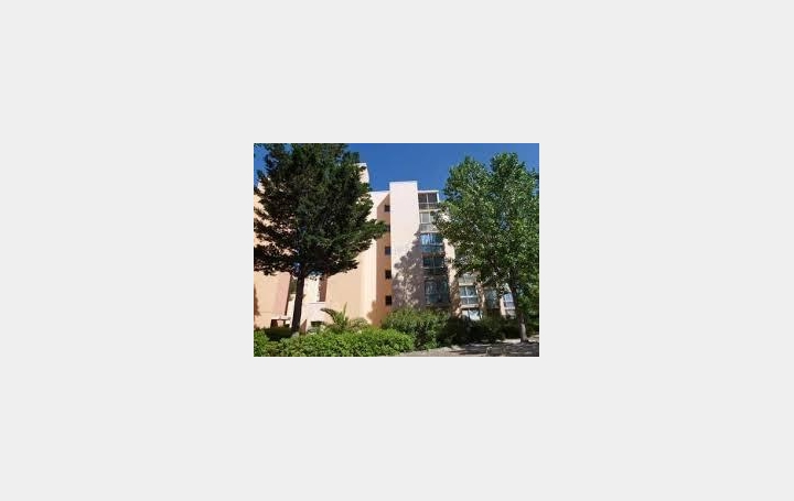API AGENCE : Appartement | LE GRAU-DU-ROI (30240) | 20 m2 | 70 000 € 