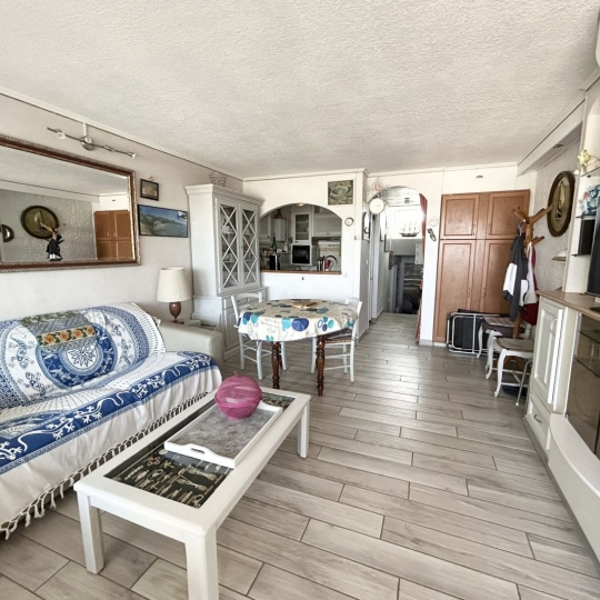  API AGENCE : Appartement | LE GRAU-DU-ROI (30240) | 45 m2 | 580 € 