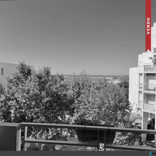  API AGENCE : Appartement | LA GRANDE-MOTTE (34280) | 25 m2 | 520 € 