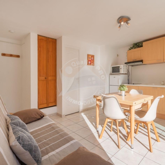  API AGENCE : Appartement | LE GRAU-DU-ROI (30240) | 21 m2 | 200 € 