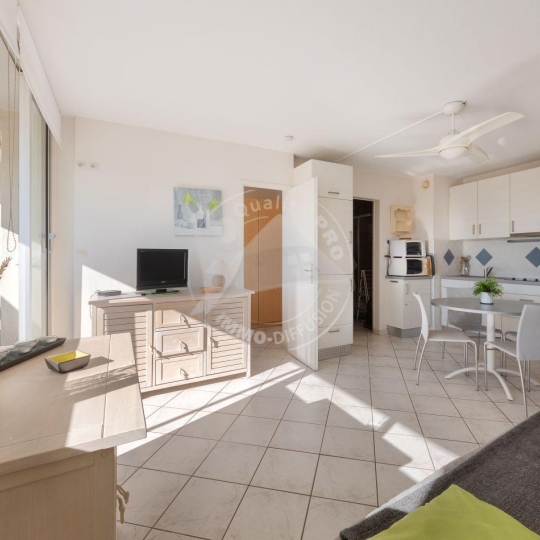  API AGENCE : Appartement | LE GRAU-DU-ROI (30240) | 30 m2 | 360 € 