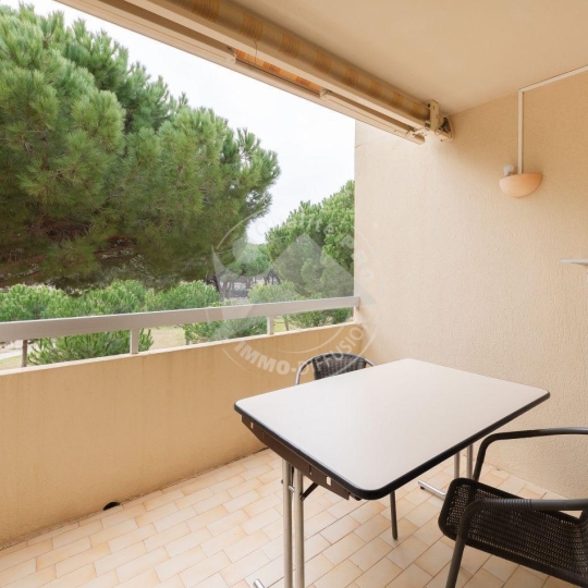  API AGENCE : Apartment | LE GRAU-DU-ROI (30240) | 31 m2 | 360 € 