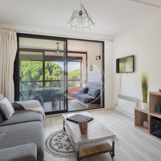  API AGENCE : Apartment | LE GRAU-DU-ROI (30240) | 35 m2 | 300 € 