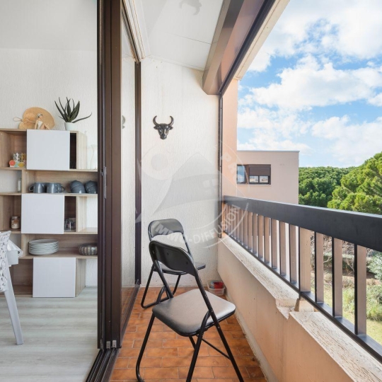 API AGENCE : Apartment | LE GRAU-DU-ROI (30240) | 35 m2 | 300 € 