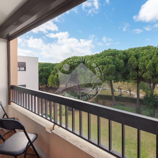  API AGENCE : Apartment | LE GRAU-DU-ROI (30240) | 35 m2 | 300 € 