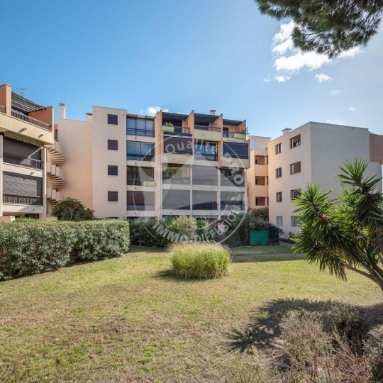  API AGENCE : Apartment | LE GRAU-DU-ROI (30240) | 35 m2 | 300 € 