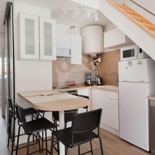  API AGENCE : Appartement | LE GRAU-DU-ROI (30240) | 34 m2 | 420 € 