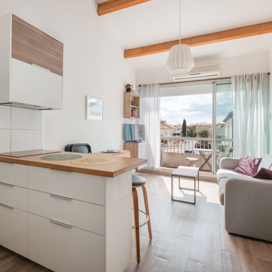  API AGENCE : Apartment | LE GRAU-DU-ROI (30240) | 39 m2 | 330 € 