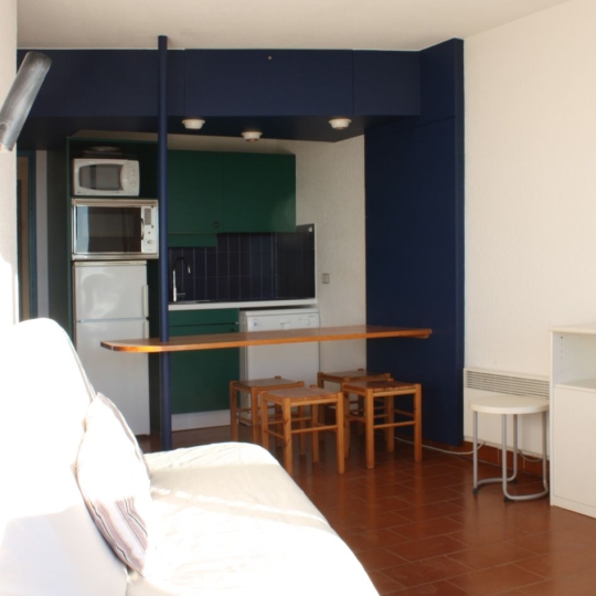  API AGENCE : Apartment | LE GRAU-DU-ROI (30240) | 33 m2 | 580 € 