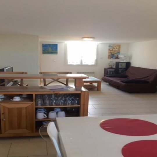  API AGENCE : Appartement | LE GRAU-DU-ROI (30240) | 50 m2 | 334 € 