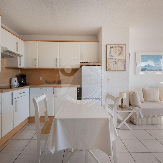 API AGENCE : Appartement | LE GRAU-DU-ROI (30240) | 31 m2 | 339 € 