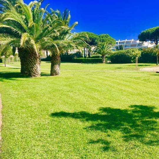  API AGENCE : Appartement | LE GRAU-DU-ROI (30240) | 24 m2 | 139 900 € 
