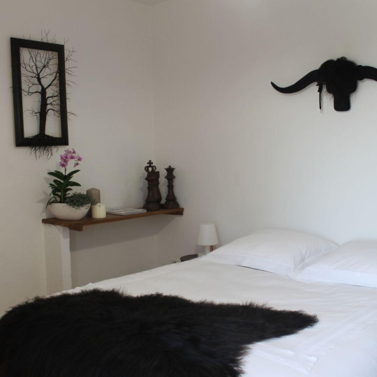  API AGENCE : Domaines / Propriétés | BOISSET-ET-GAUJAC (30140) | 180 m2 | 550 000 € 
