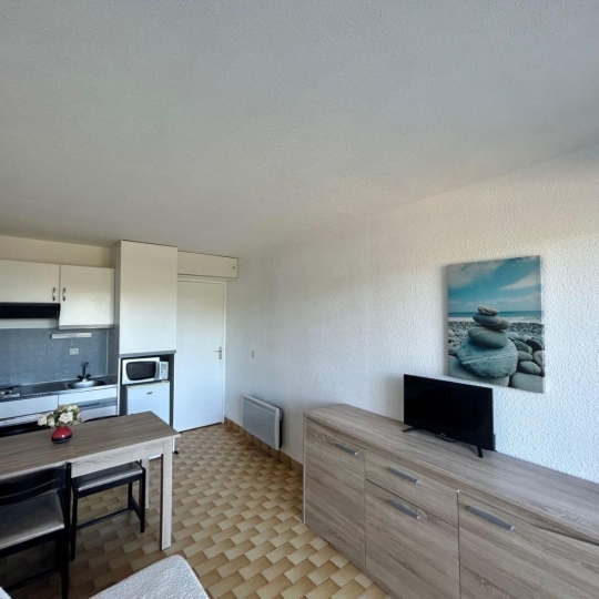  API AGENCE : Appartement | LE GRAU-DU-ROI (30240) | 22 m2 | 155 000 € 