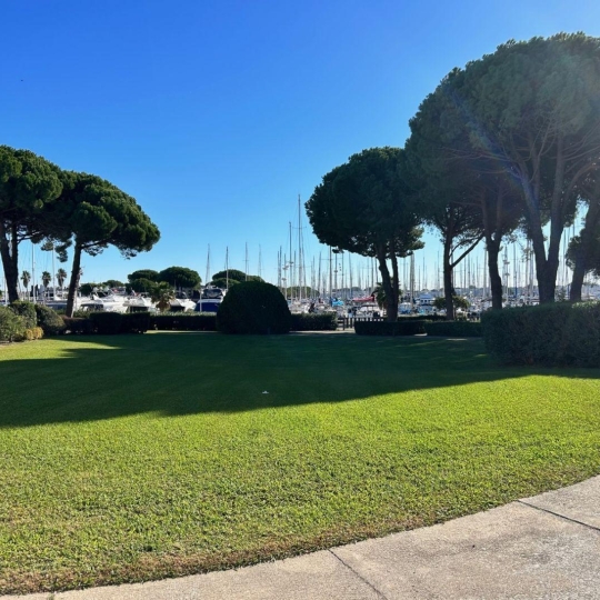  API AGENCE : Apartment | PORT-CAMARGUE (30240) | 29 m2 | 190 000 € 