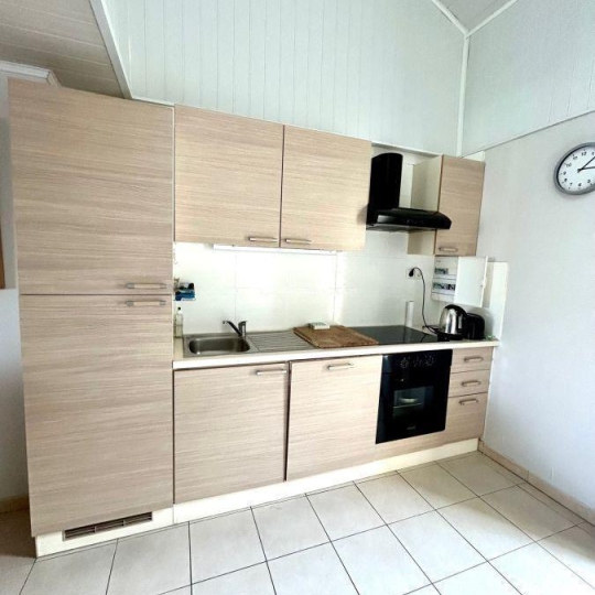  API AGENCE : Appartement | LE GRAU-DU-ROI (30240) | 47 m2 | 310 000 € 