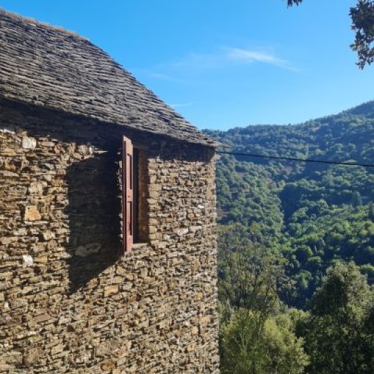  API AGENCE : House | SAINT-MARTIN-DE-LANSUSCLE (48110) | 89 m2 | 149 000 € 