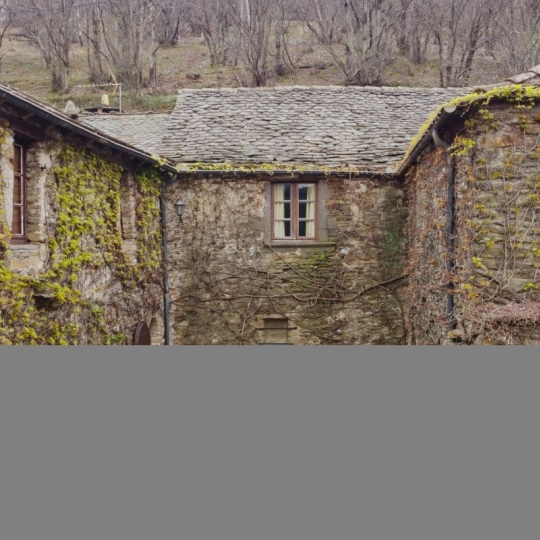  API AGENCE : Domain / Estate | SAINT-GERMAIN-DE-CALBERTE (48370) | 160 m2 | 540 800 € 