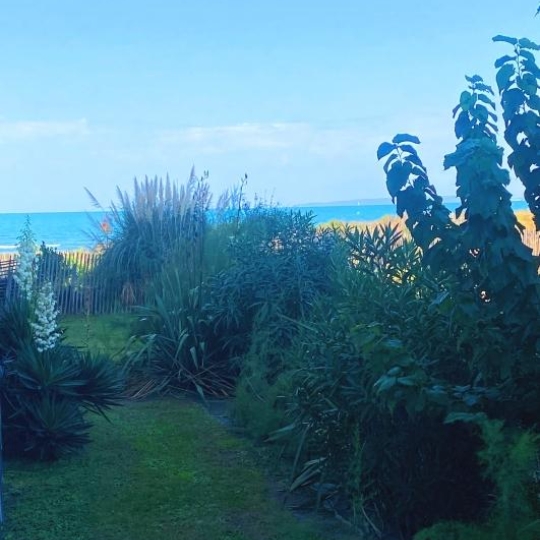  API AGENCE : Apartment | LE GRAU-DU-ROI (30240) | 31 m2 | 217 000 € 