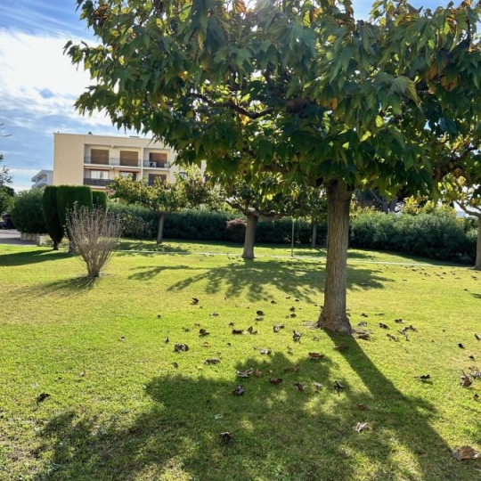  API AGENCE : Appartement | LE GRAU-DU-ROI (30240) | 27 m2 | 169 900 € 