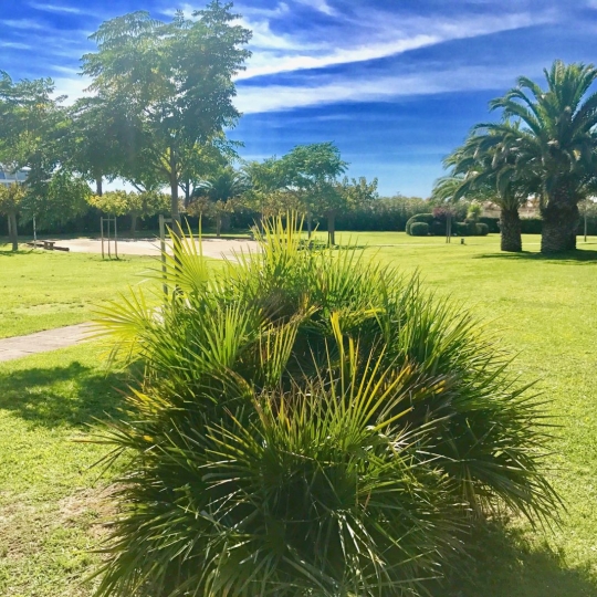  API AGENCE : Apartment | LE GRAU-DU-ROI (30240) | 28 m2 | 278 000 € 