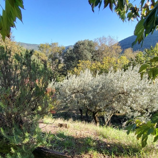  API AGENCE : House | SAINT-JEAN-DU-GARD (30270) | 110 m2 | 393 000 € 