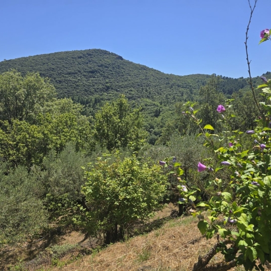  API AGENCE : Maison / Villa | SAINT-JEAN-DU-GARD (30270) | 110 m2 | 393 000 € 