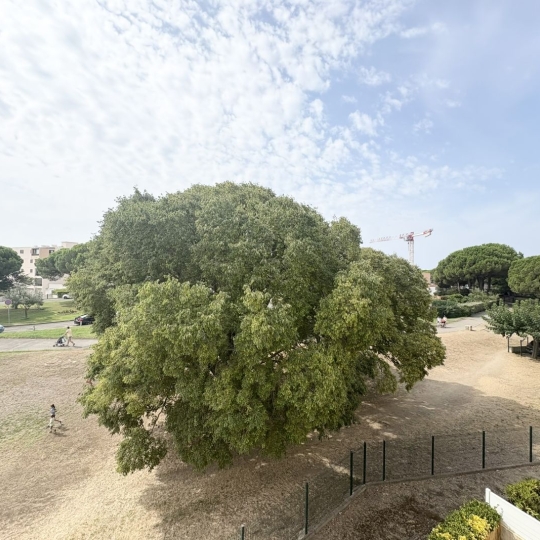  API AGENCE : Appartement | LE GRAU-DU-ROI (30240) | 21 m2 | 115 830 € 