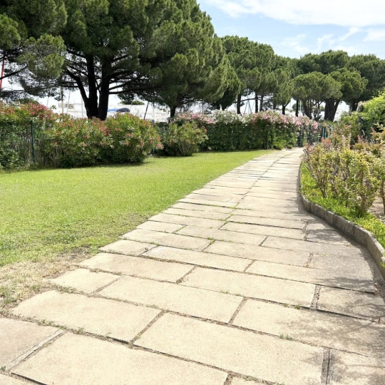  API AGENCE : Appartement | LE GRAU-DU-ROI (30240) | 21 m2 | 143 775 € 