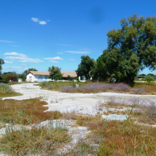 L'IMMOBILIER GENEVIEVE PINARD : Domain / Estate | AIGUES-MORTES (30220) | 140.00m2 | 780 000 € L'IMMOBILIER GENEVIEVE PINARD : Domain / Estate | AIGUES-MORTES (30220) | 140.00m2 | 780 000 €