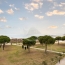  API AGENCE : Apartment | LE GRAU-DU-ROI (30240) | 70 m2 | 613 € 