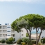  API AGENCE : Appartement | LE GRAU-DU-ROI (30240) | 28 m2 | 250 000 € 