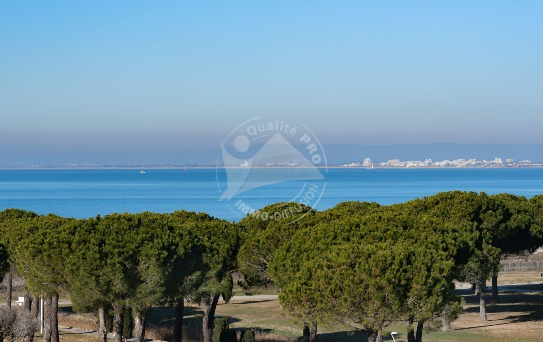 API AGENCE : Apartment | LE GRAU-DU-ROI (30240) | 33 m2 | 374 € 