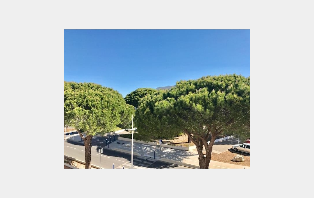 API AGENCE : Appartement | LE GRAU-DU-ROI (30240) | 18 m2 | 270 € 