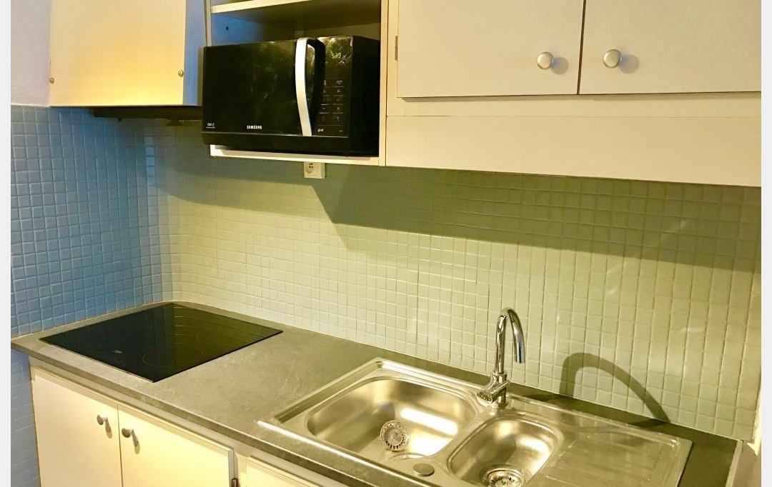 API AGENCE : Appartement | LE GRAU-DU-ROI (30240) | 35 m2 | 310 € 