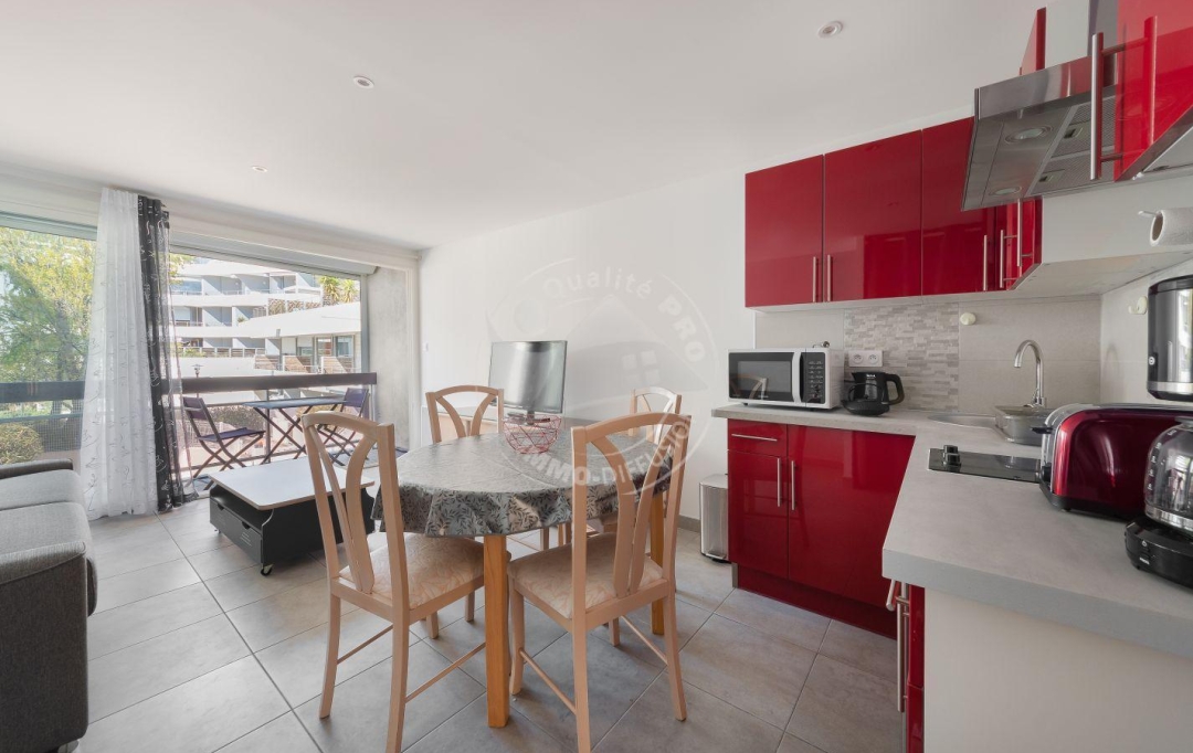 API AGENCE : Apartment | LE GRAU-DU-ROI (30240) | 29 m2 | 300 € 