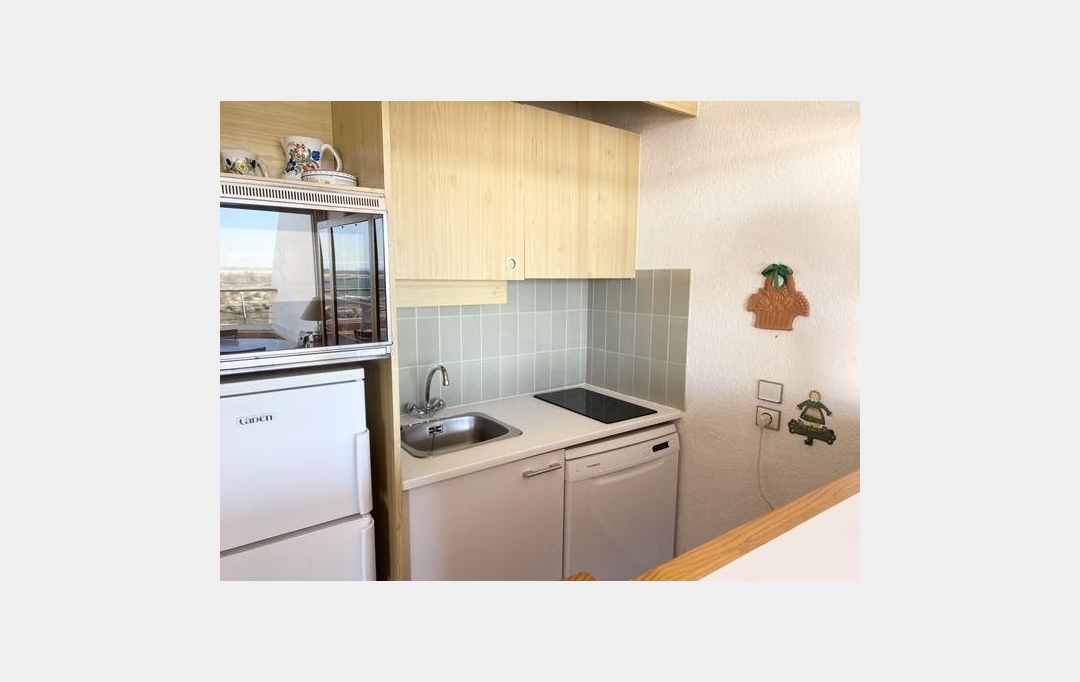 API AGENCE : Appartement | LE GRAU-DU-ROI (30240) | 62 m2 | 513 € 