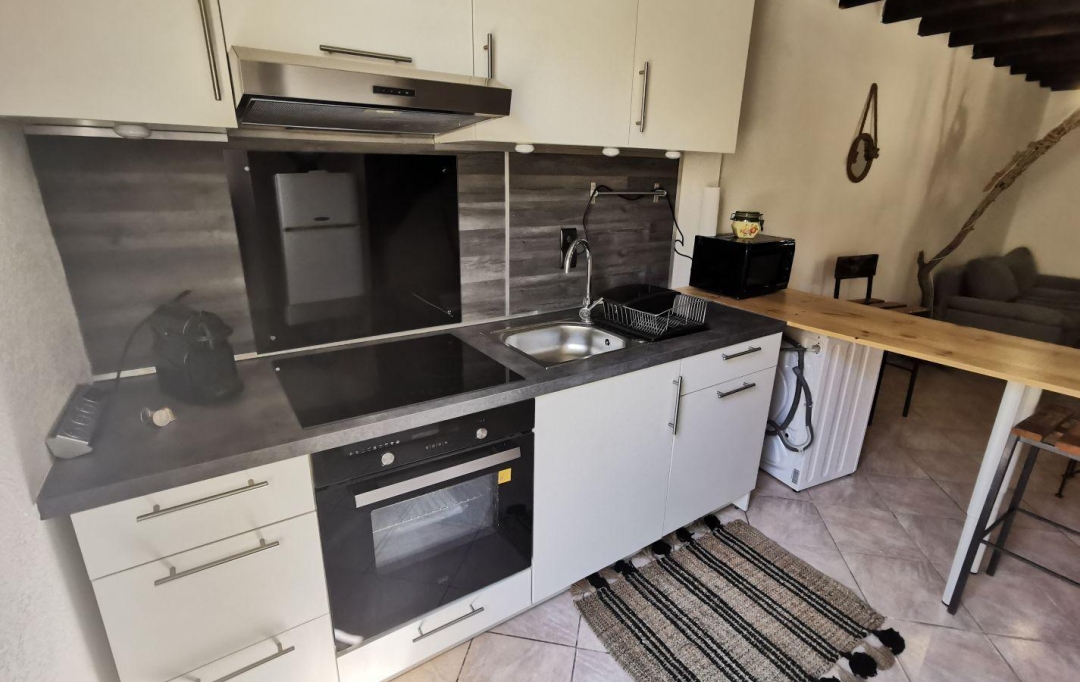 API AGENCE : Appartement | LE GRAU-DU-ROI (30240) | 54 m2 | 320 € 