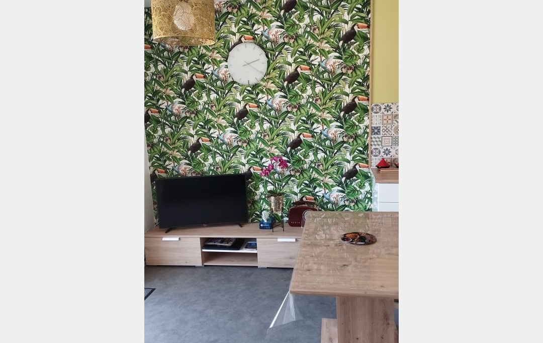 API AGENCE : Apartment | LE GRAU-DU-ROI (30240) | 38 m2 | 530 € 
