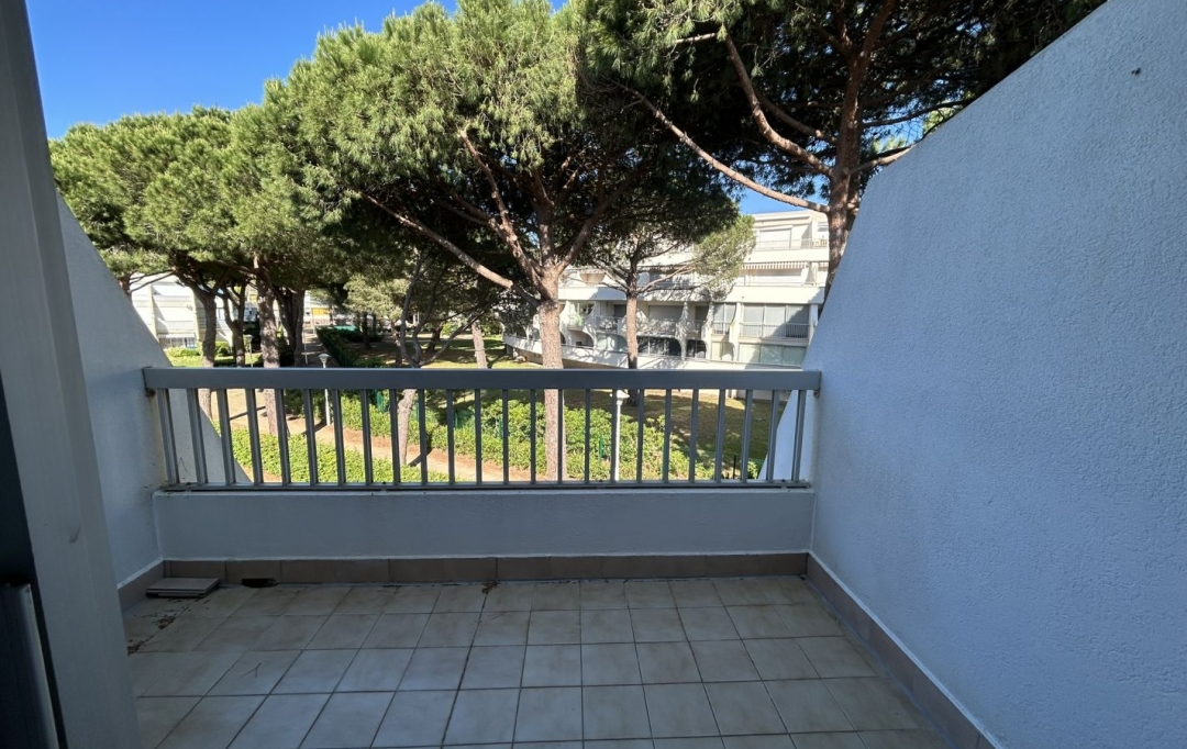 API AGENCE : Appartement | LE GRAU-DU-ROI (30240) | 20 m2 | 550 € 