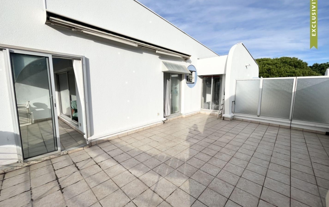 API AGENCE : Autres | LE GRAU-DU-ROI (30240) | 46 m2 | 411 000 € 